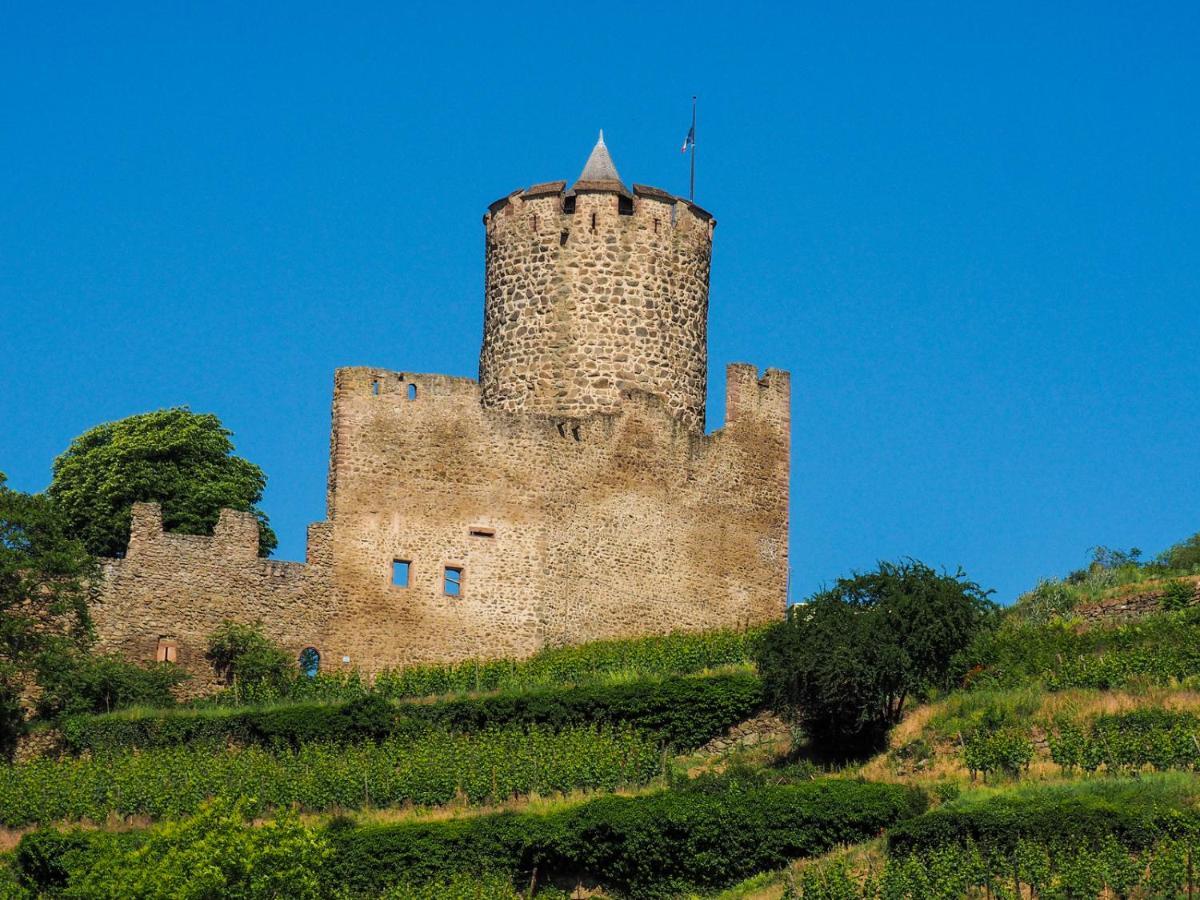 Les Chambres De La Weiss Kaysersberg-Vignoble Exteriör bild